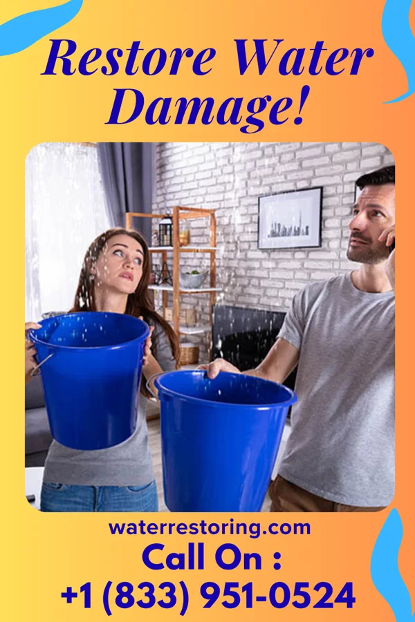 water restoration Ultimate Restoration Solutions Inc Martin