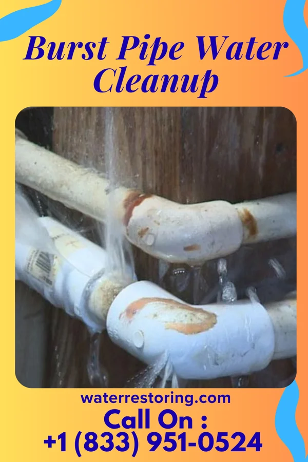 Burst Pipe Water Cleanup in Martin, KY
