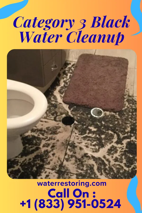 Category 3 Black Water Cleanup in Martin, KY