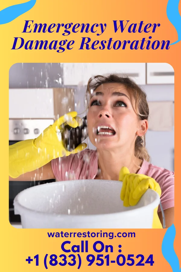 Emergency Water Damage Restoration in Martin, KY
