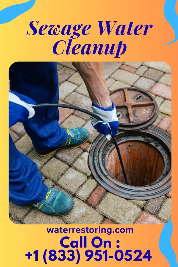 Sewage Water Cleanup in Martin, KY